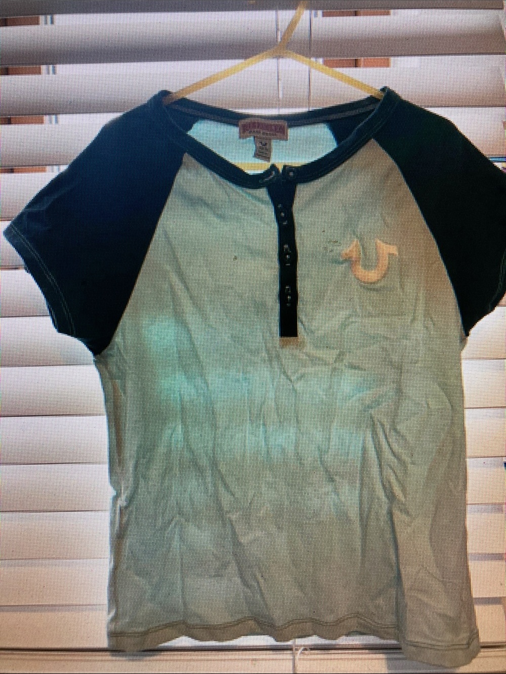 True Religion Short Sleeve Henley Tee in Light Green and Black